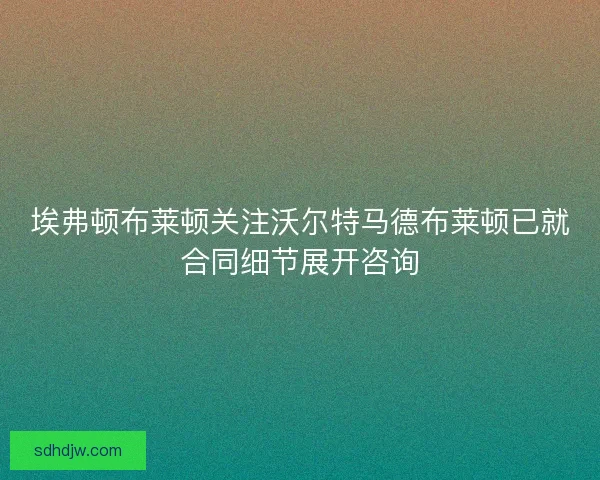 埃弗顿布莱顿关注沃尔特马德布莱顿已就合同细节展开咨询 埃弗顿布莱顿关注沃尔特马德布莱顿已就合同细节展开咨询