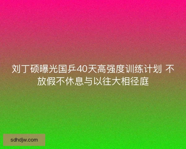 刘丁硕曝光国乒40天高强度训练计划 不放假不休息与以往大相径庭 刘丁硕曝光国乒40天高强度训练计划 不放假不休息与以往大相径庭